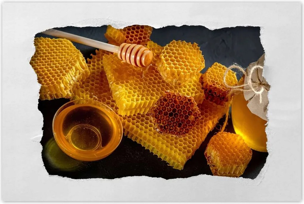 Poszterek 90x60 Méhsejt méz