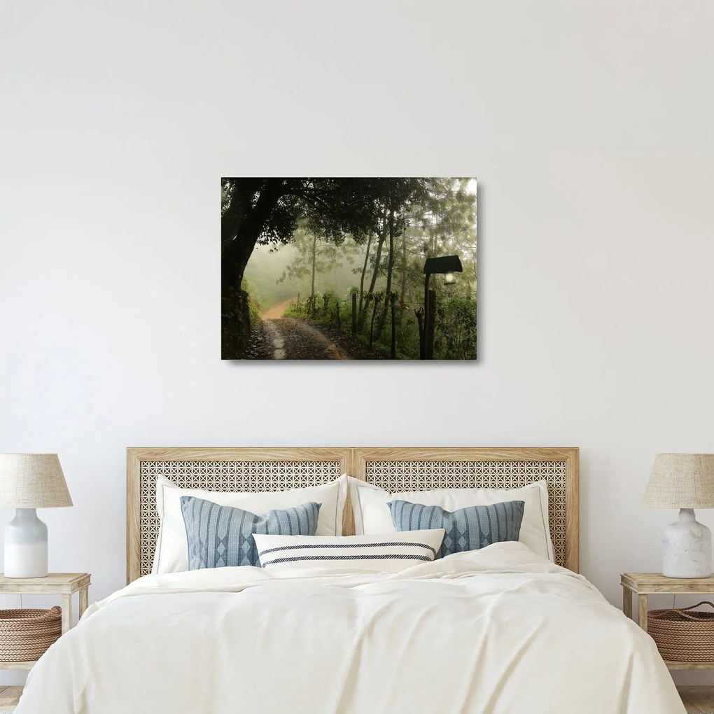 Reggeli köd képe (üvegen) (70x50 cm)