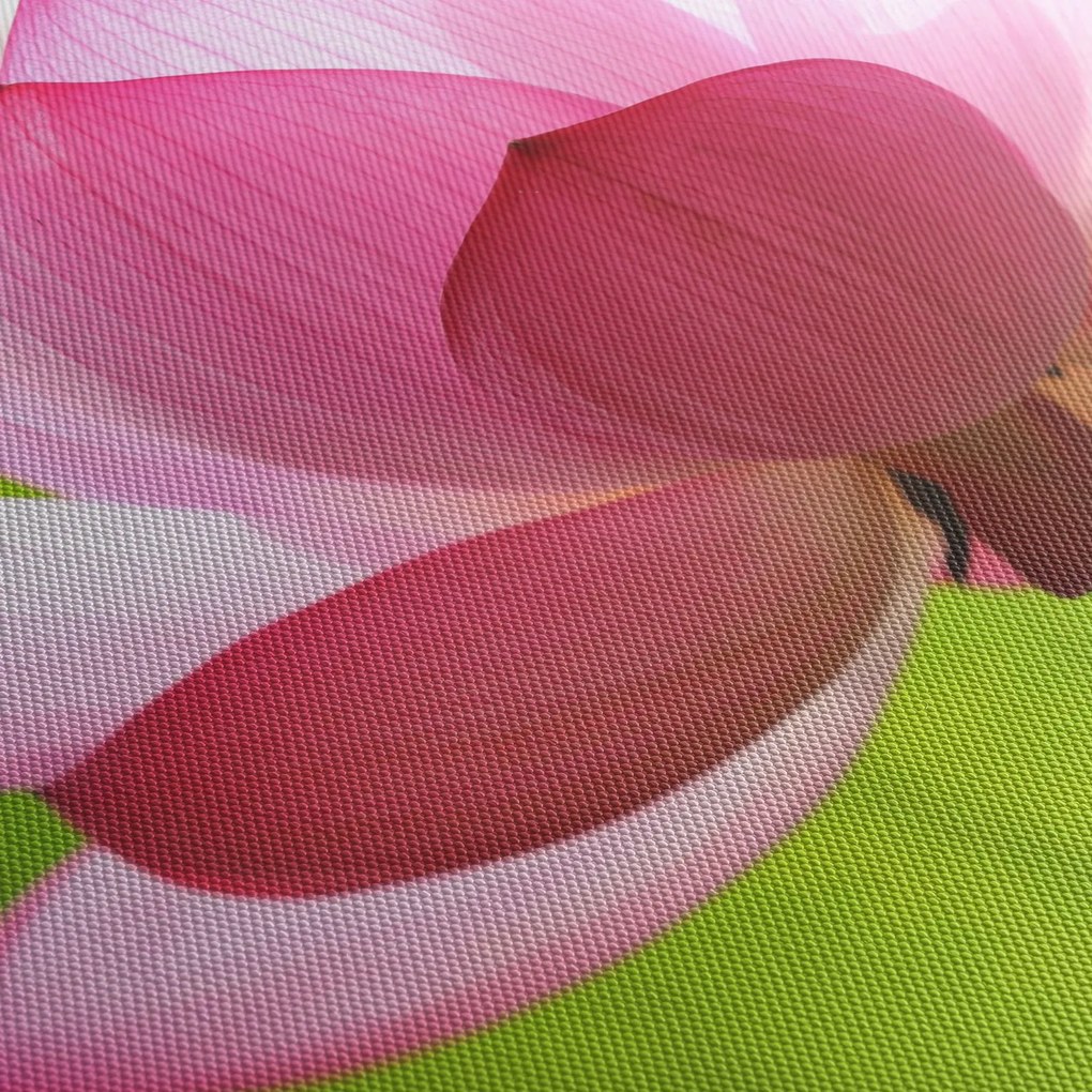 Lótuszvirág kép (órával) (90x30 cm)