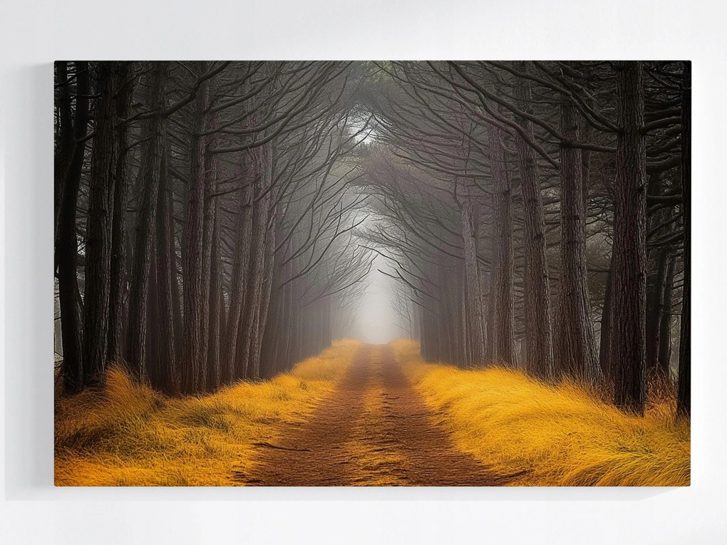 Poszter Tájkép Út Ösvény Sikátor Fák Ősz 60x40