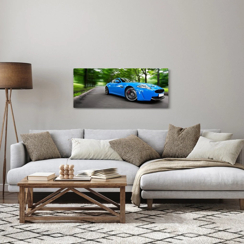 Kép - Versenyautó (120x50 cm)