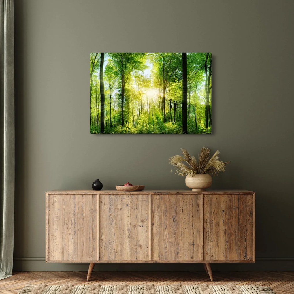 Kép - Hajnal az erdőben (90x60 cm)