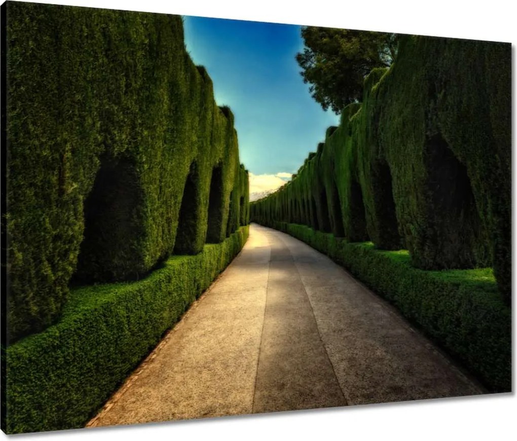 Vászonkép 80x60 Tájkép Látvány