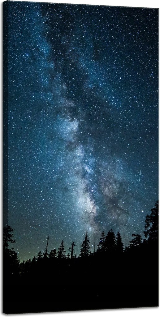 Vászonkép Kozmosz Éjszaka Erdő Köd Természet Csillagászat 40x80