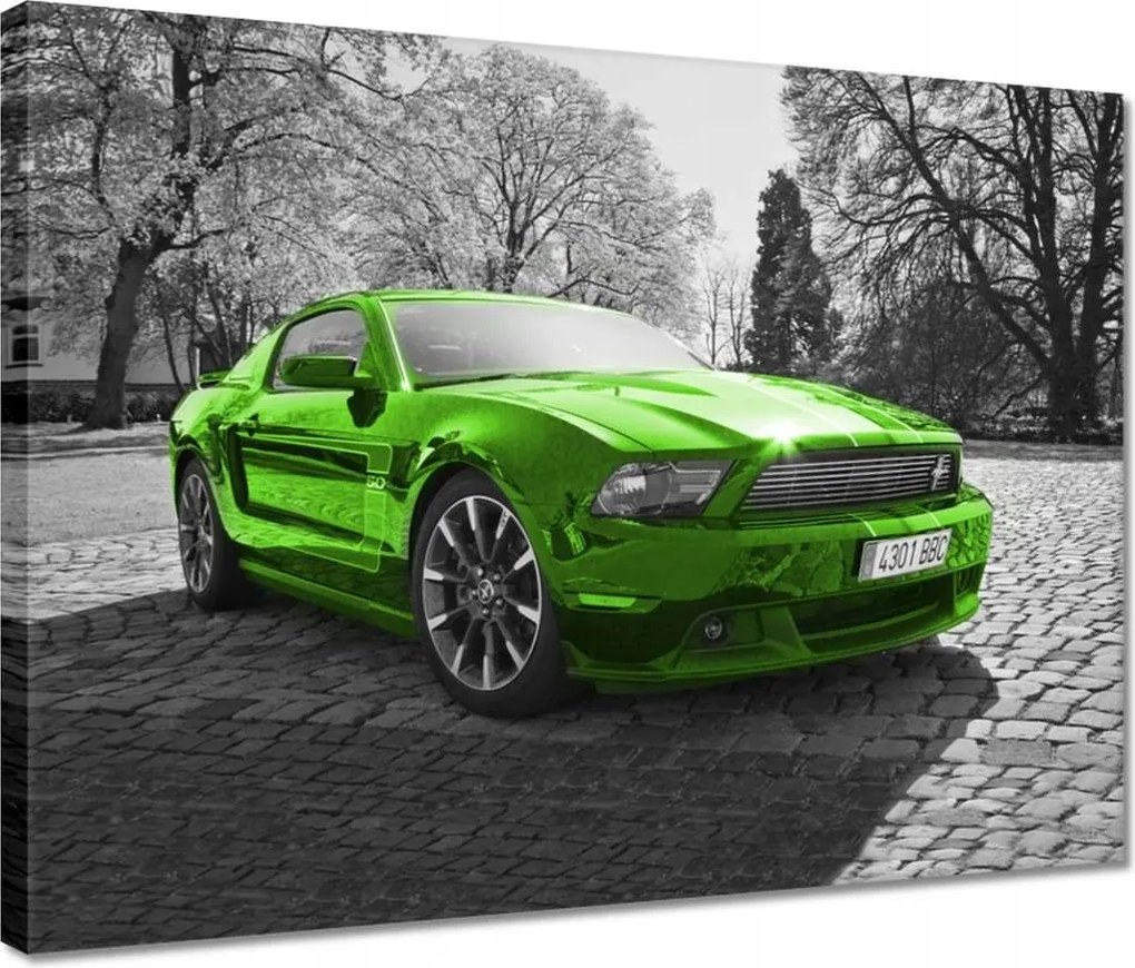 Vászonkép 40x30 Ford Mustang Autó