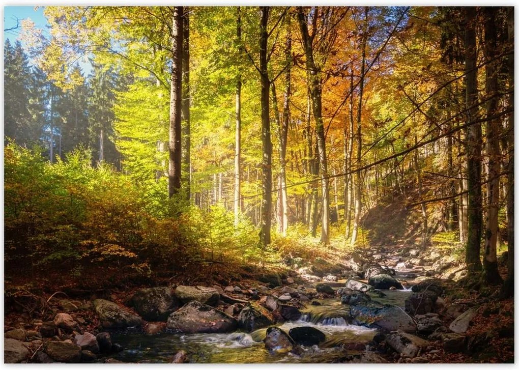 Poszterek 100x70 Tájkép