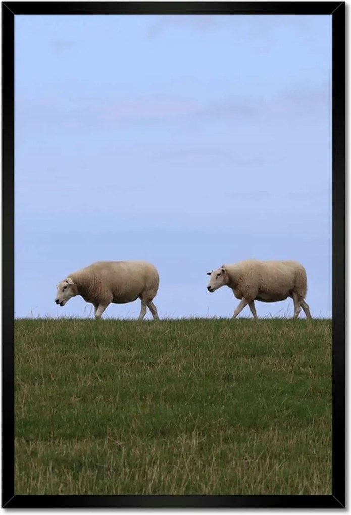 Poszterek keretben 40x60 Juh legeltetés Bárányok