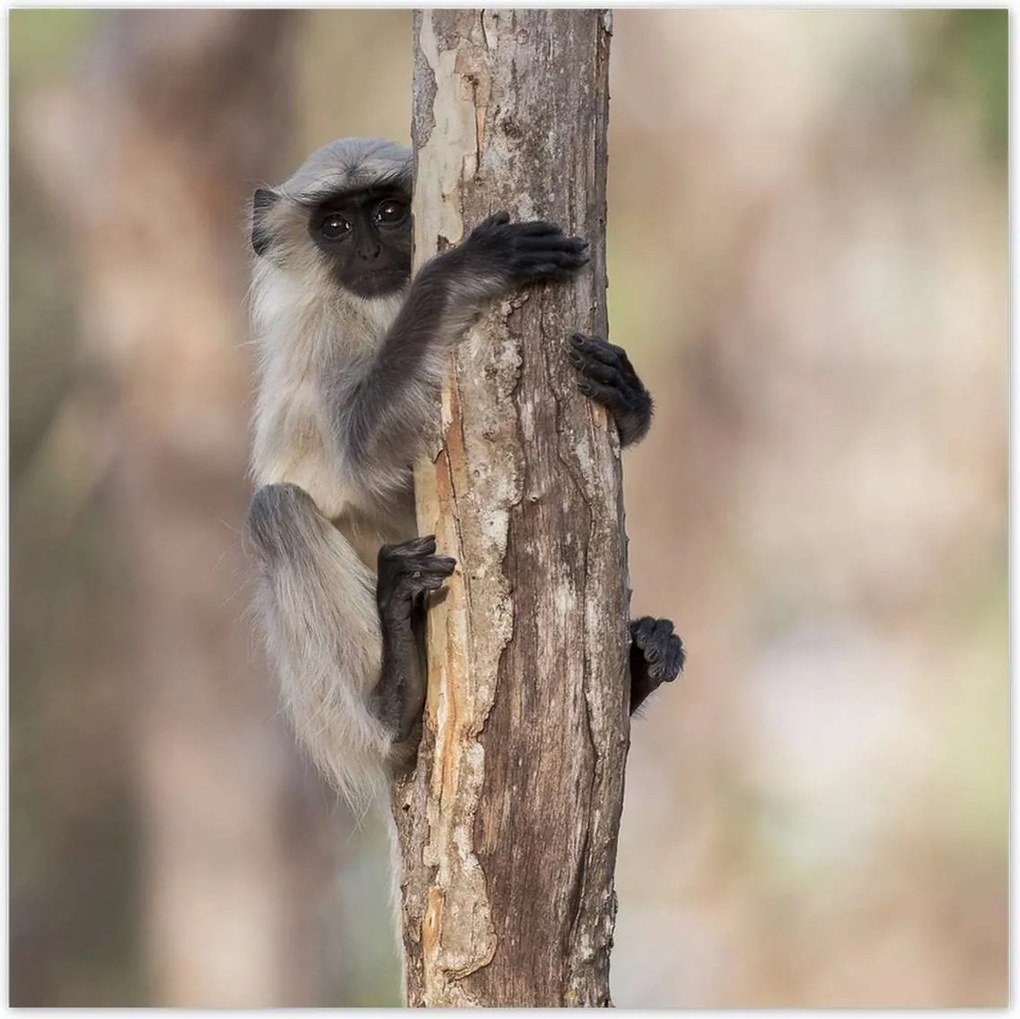 Poszterek 140x140 Pihenés a természetben