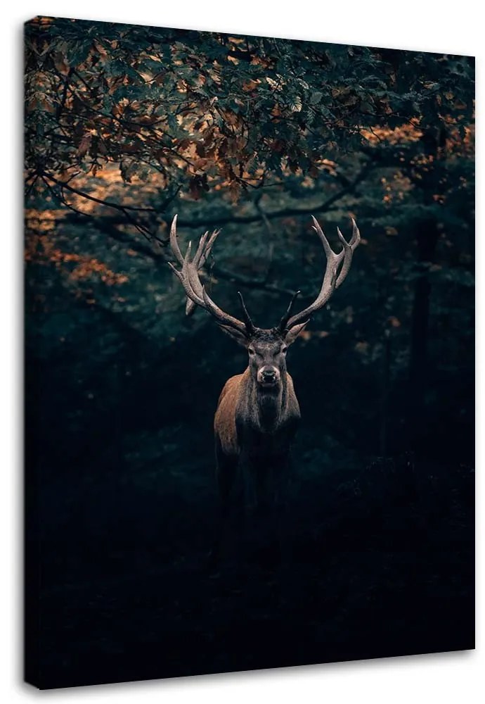 Gario Vászonkép Szarvas a bokrok között Méret: 70 x 100 cm