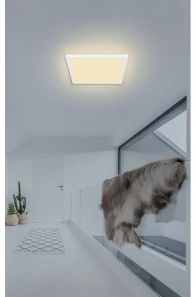 Globo 41563-18W - LED Fürdőszobai mennyezeti lámpa SAPANA LED/18W/230V IP44