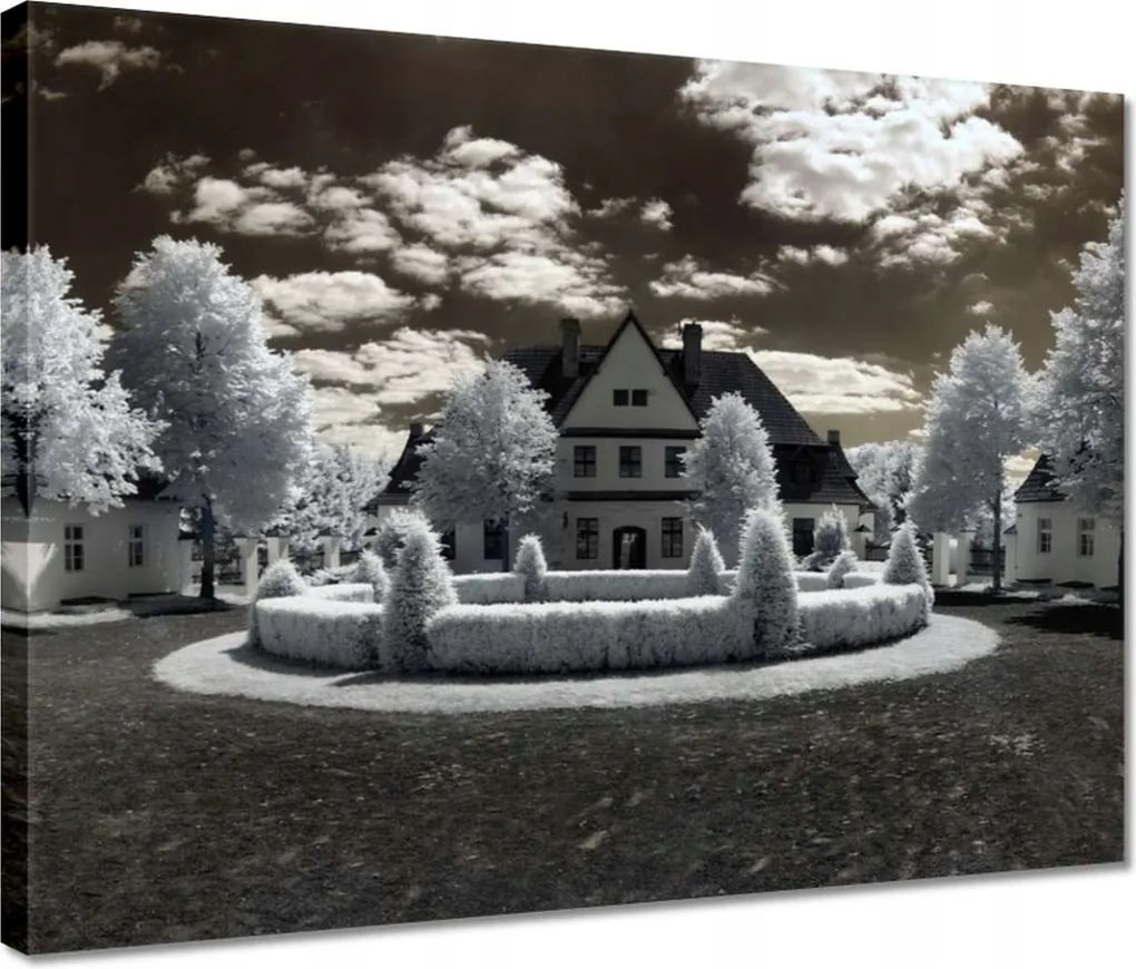 Vászonkép 40x30 Ir infravörös kép