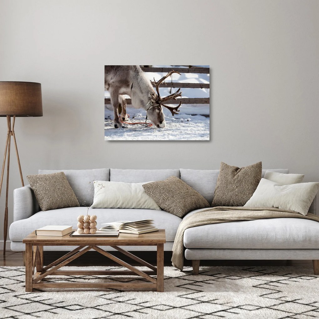 Üveg kép - Sat (70x50 cm)