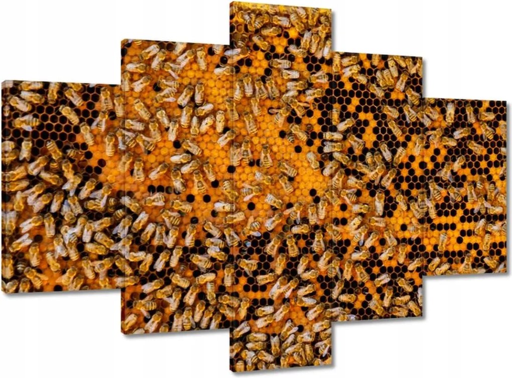 Képek 150x105 Egy szelet édes méz