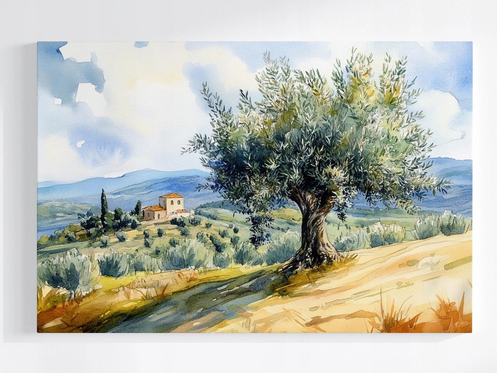 Poszter Tájkép Olaszország Toszkána Fa Olíva Villa 60x40