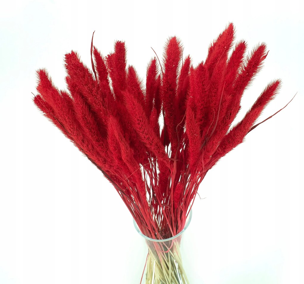 Setaria, vörös hajszál szárított virágok váza koszorú szárító