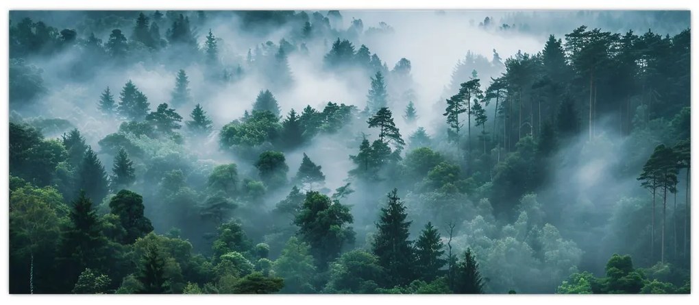 Kép - Erdő ködben (120x50 cm)