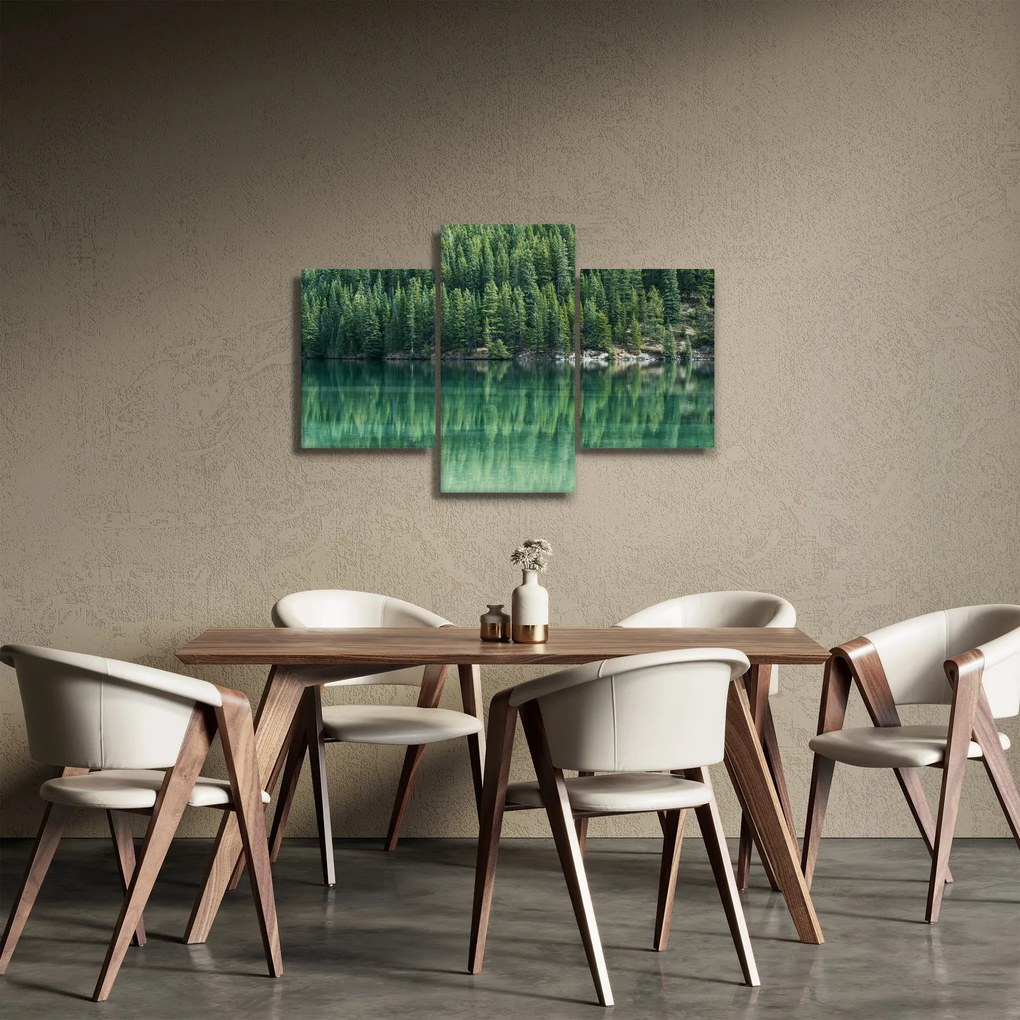 Kép - Tűlevelű a tónál (90x60 cm)