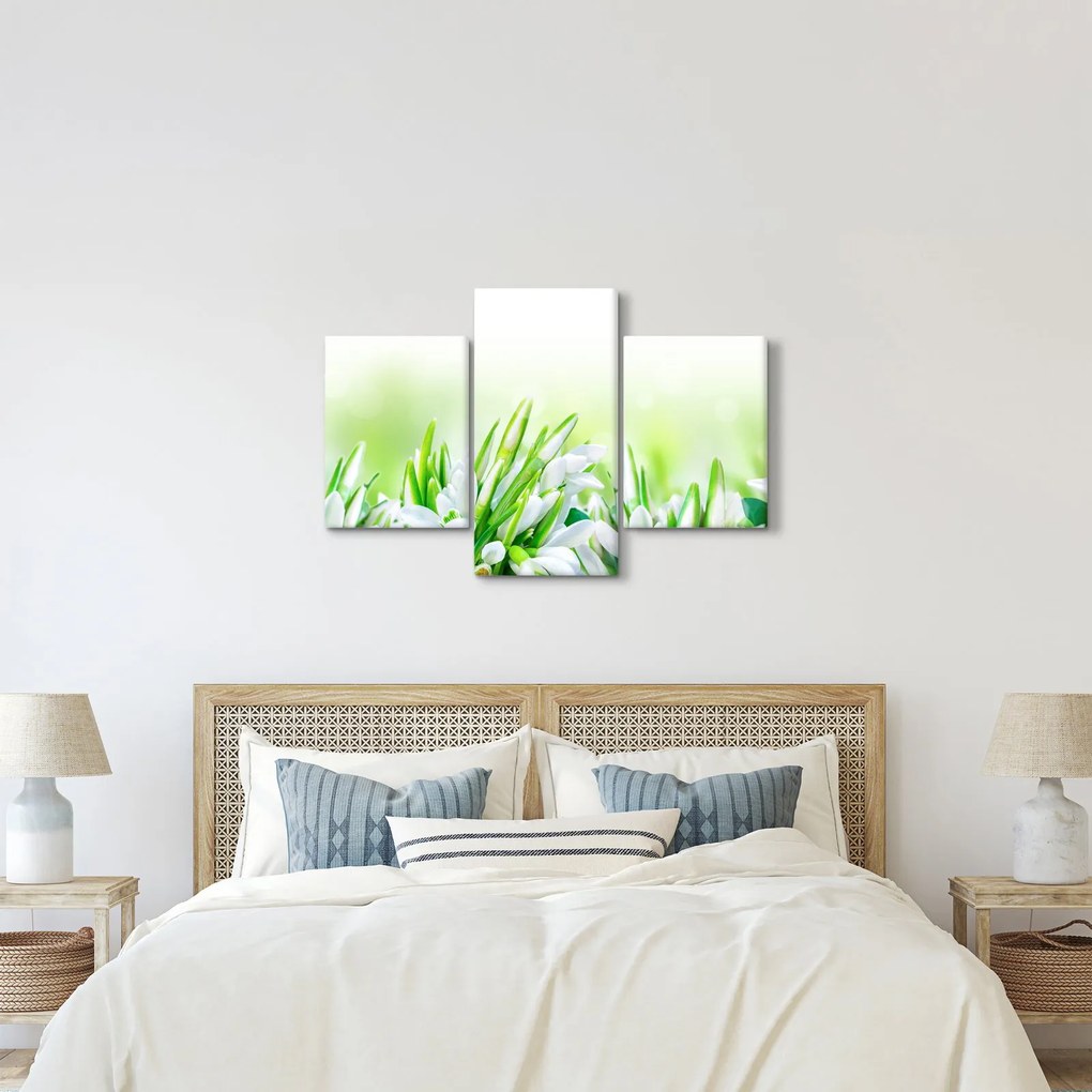 Kép - Hóvirág (90x60 cm)