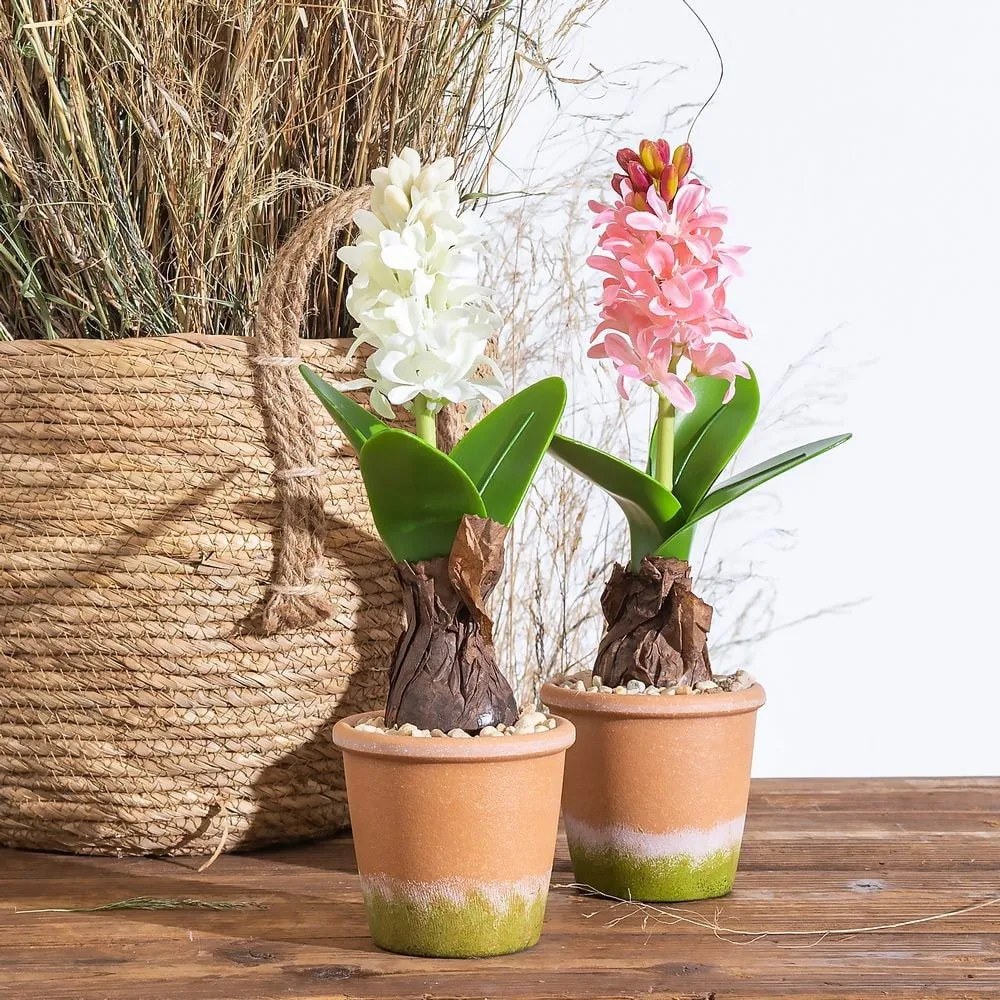 Műnövény (magasság 29 cm) Hyacinth – Ixia