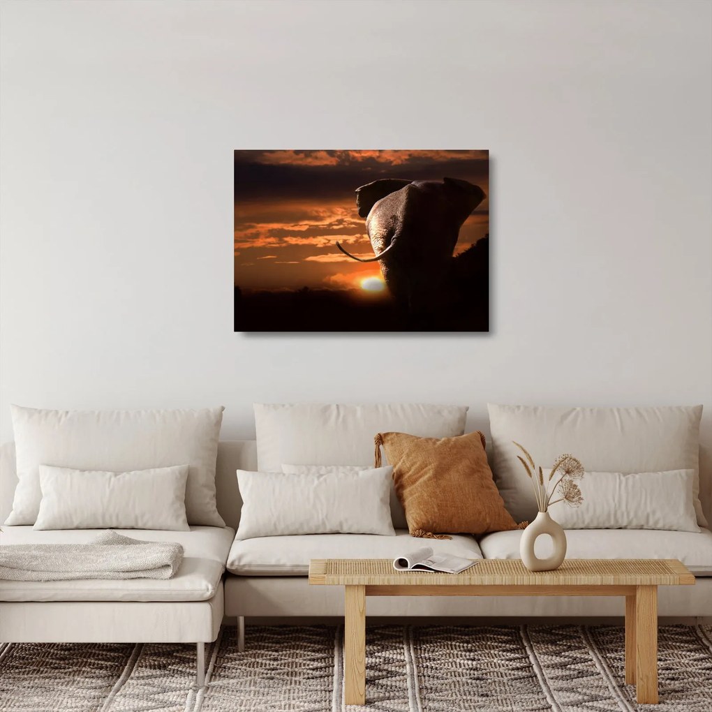 Elefánt képe (üvegen) (70x50 cm)