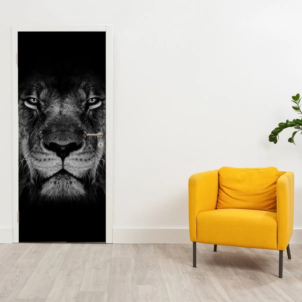 Fotótapéta ajtóra - Oroszlán és őfelsége (95x205cm)
