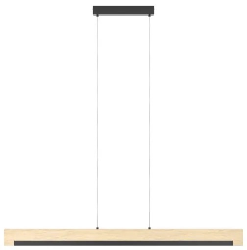 Eglo 99293 - CAMACHO LED 25,5W/230V állítható fényerejű függeszték