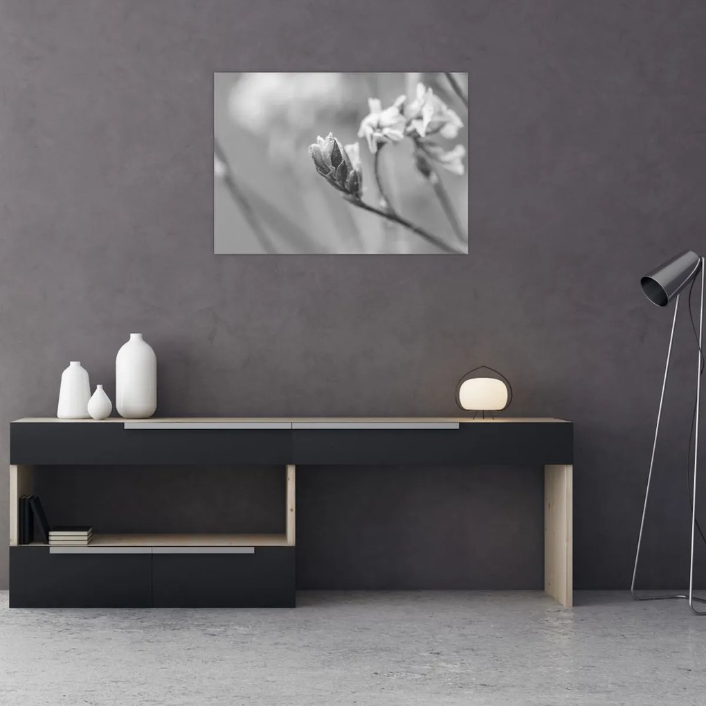 Üveg kép - Virágzó virág (70x50 cm)