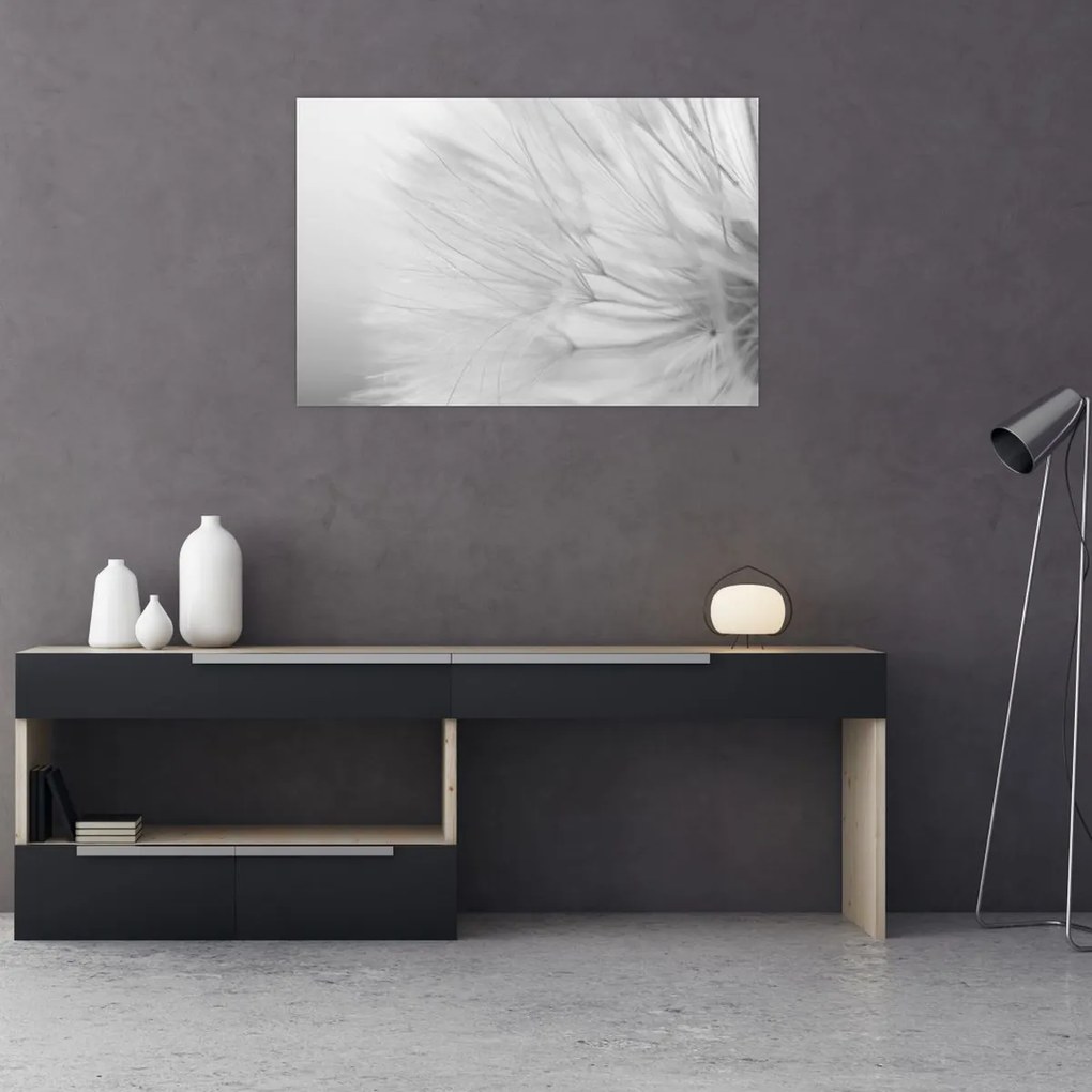 Kép - Pitypang (90x60 cm)