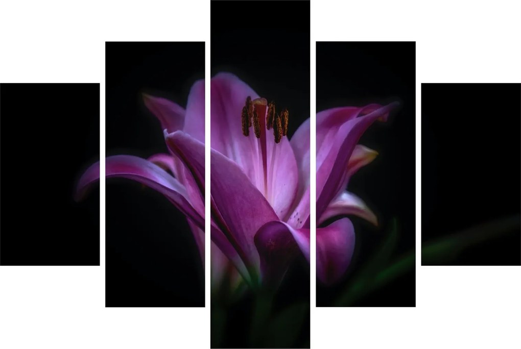A liliom képe (150x105 cm)