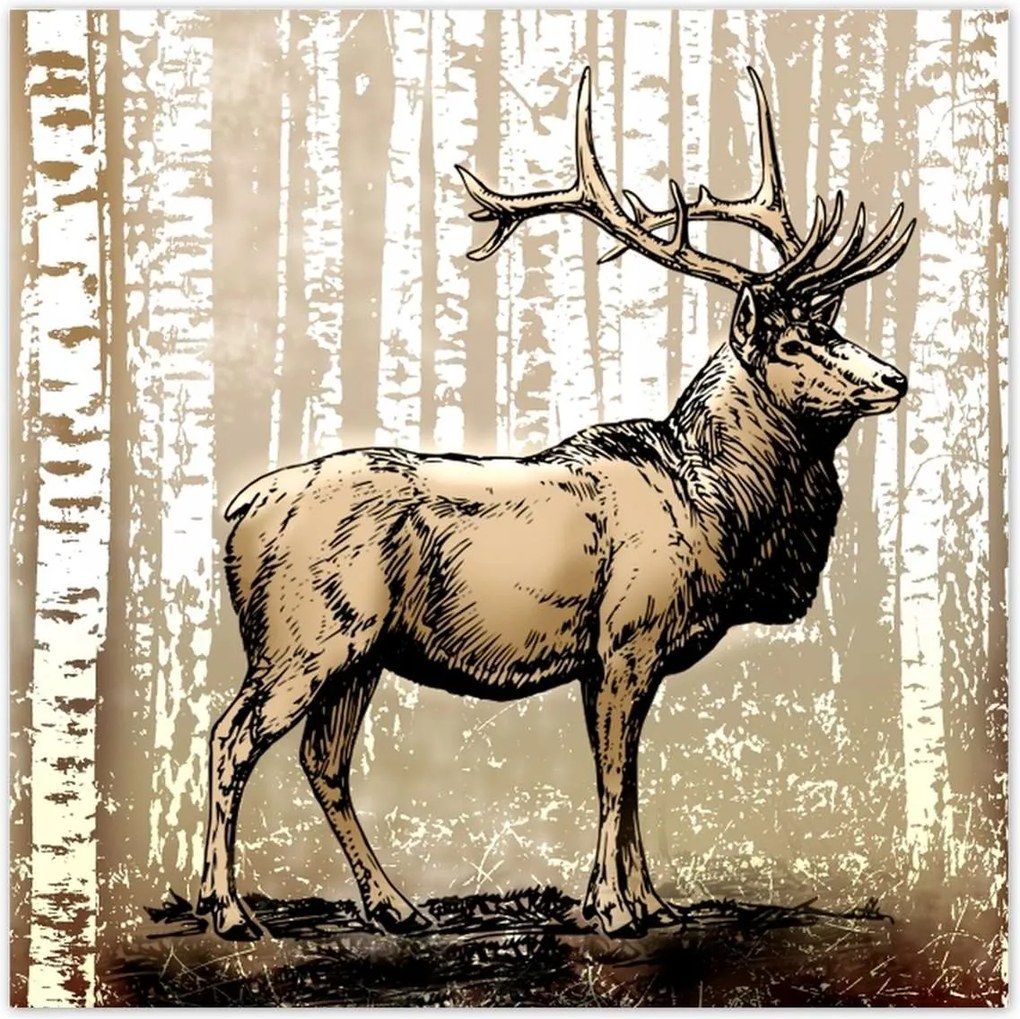 Poszterek 100x100 Szarvas Nyírfa Erdő