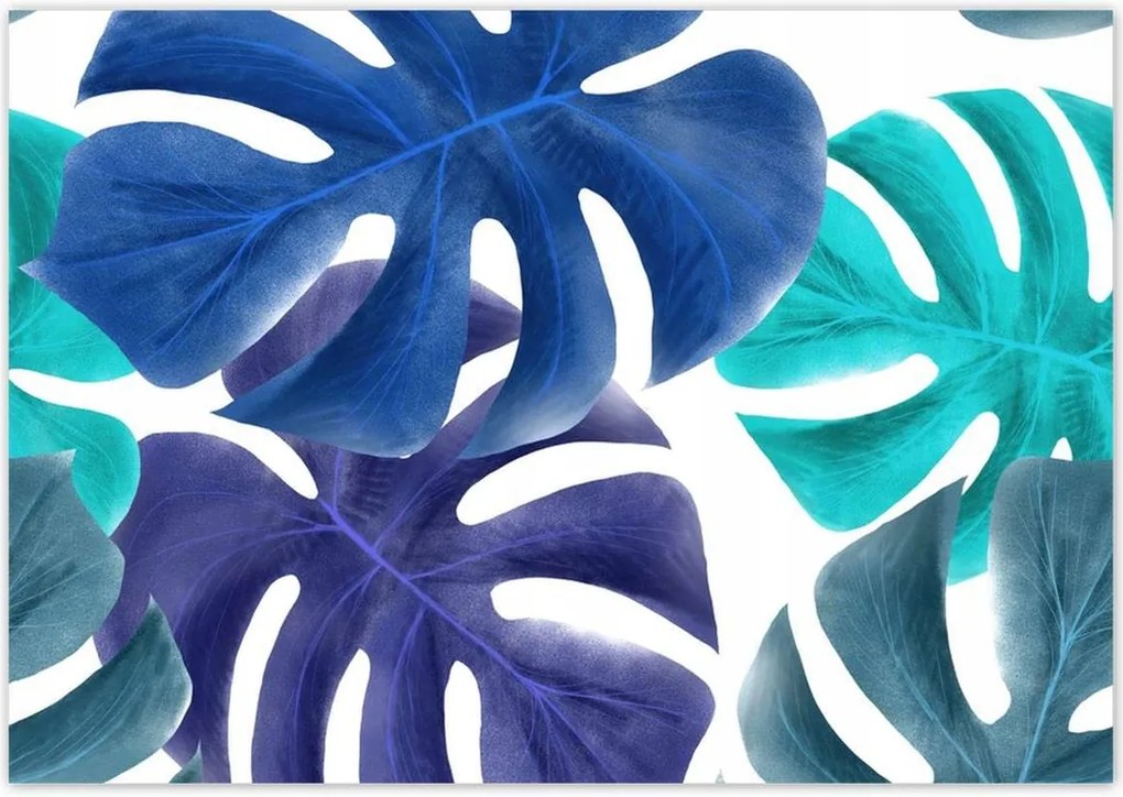 Poszterek 100x70 Monstera Levelek Kék