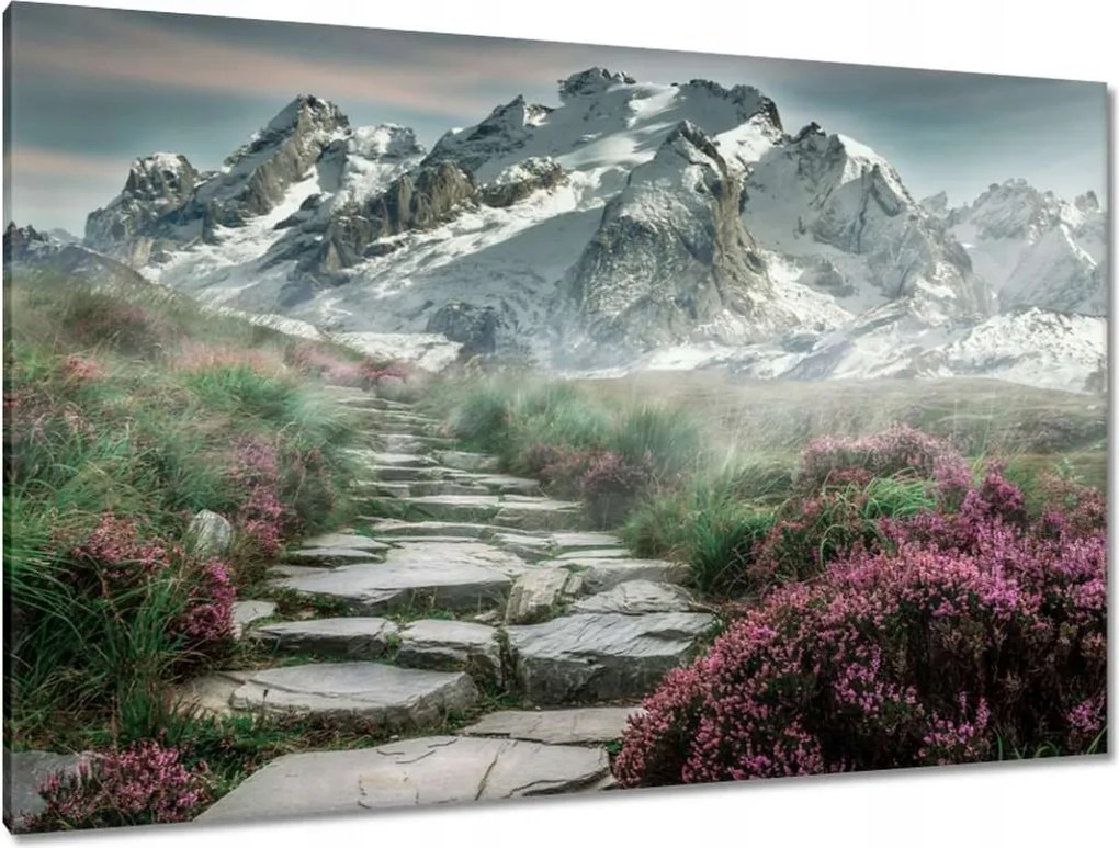 Festmények 120x80 Hegyi kilátás Tájkép Köd