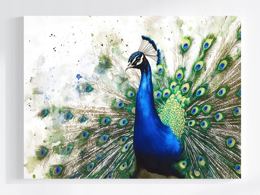 Vászonkép Canvas Akvarell Természet Portré Madár Páva Elegancia 100x75
