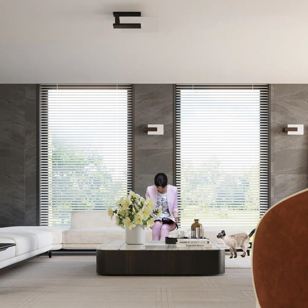 Sötétbarna fali lámpa Parola – Sollux