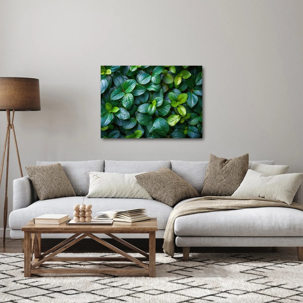 Kép - Zöld növények (70x50 cm)