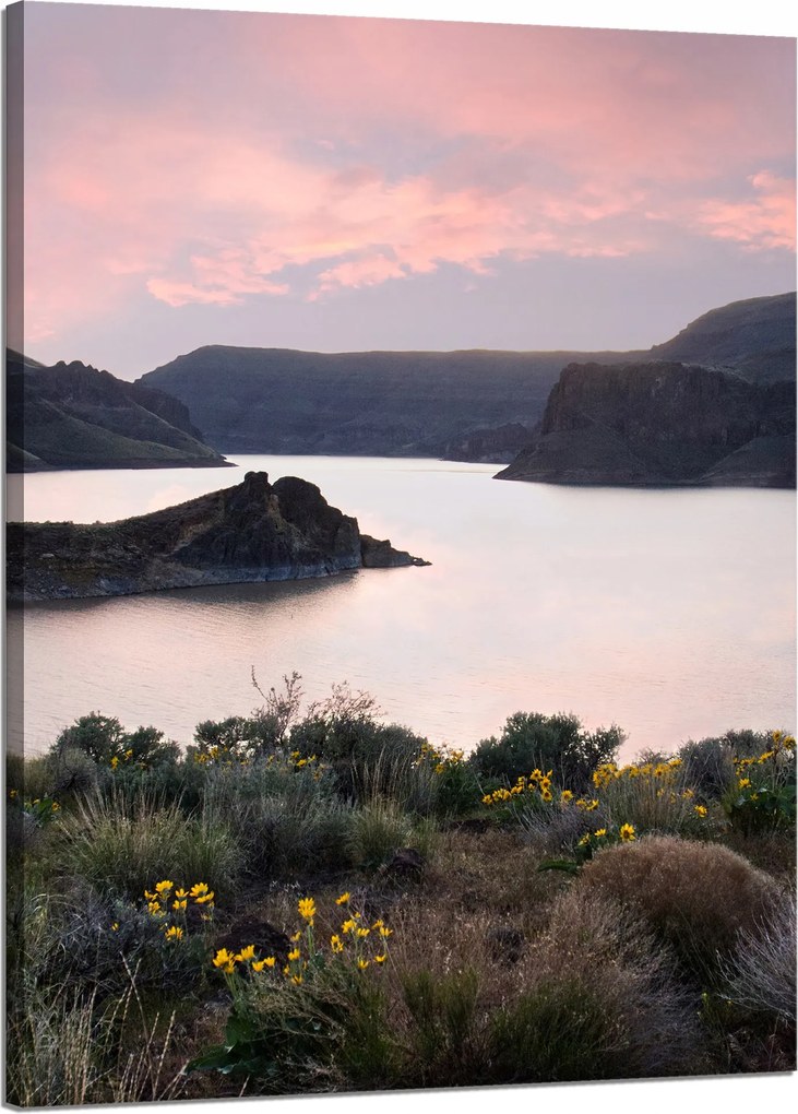 Vászonkép Természet Hegyek Víz Ég Virágok Növények 50X70