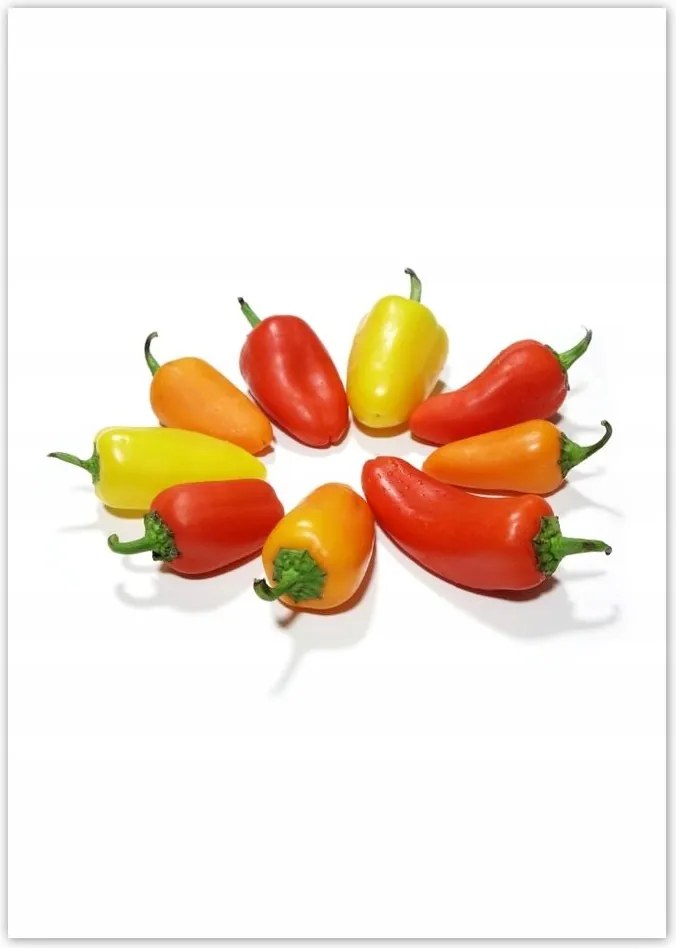 Poszterek A4 Pion Gránátalma paprika