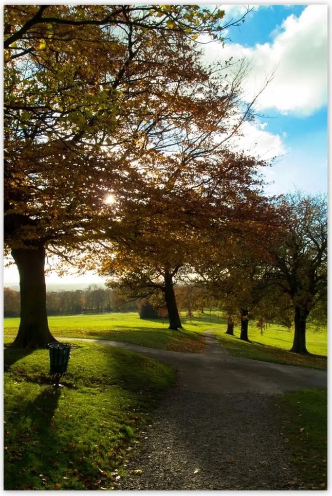 Poszterek 80x120 Őszi tájkép