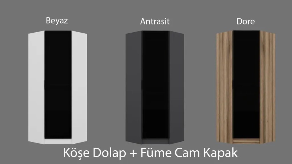 Kale Glass Dark Grey2 - 210