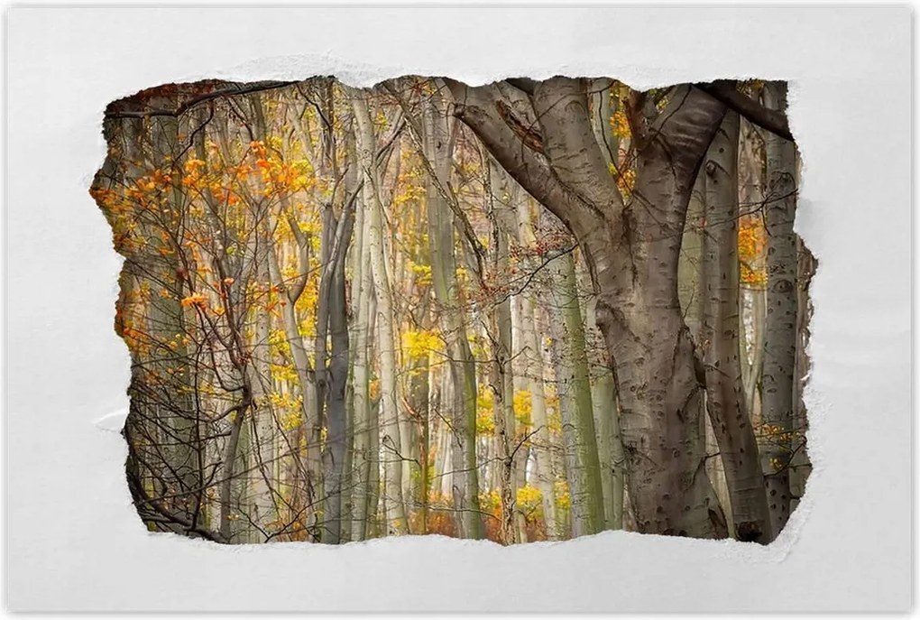 Poszterek 120x80 Tájkép Látvány