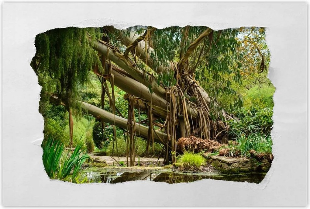 Poszterek 90x60 Tájkép Látvány