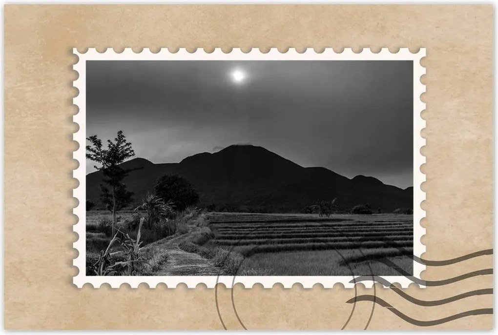 Poszterek 90x60 Kilátás a rizsföldekre