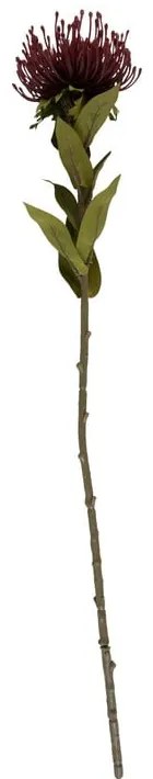 Művirág (magasság 60 cm) Protea – PT LIVING