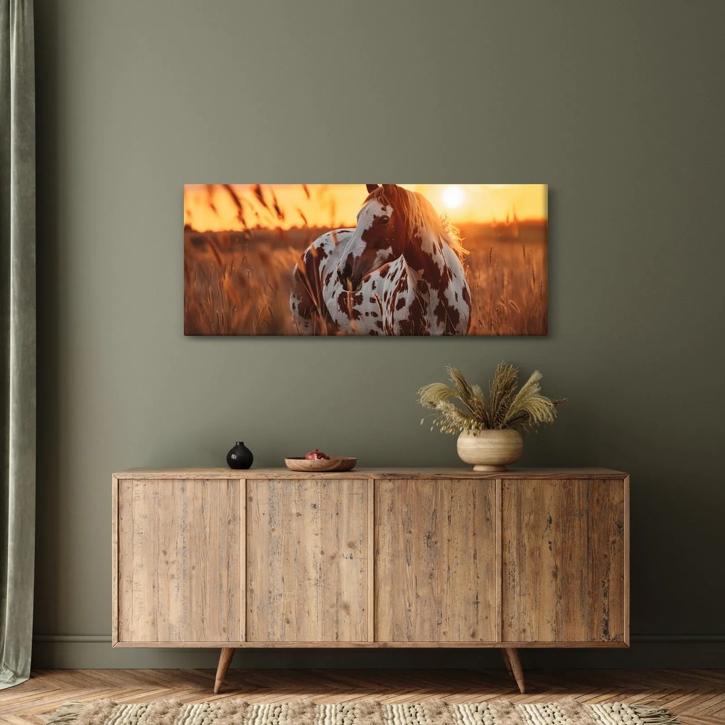 Kép - Ló naplementében (120x50 cm)