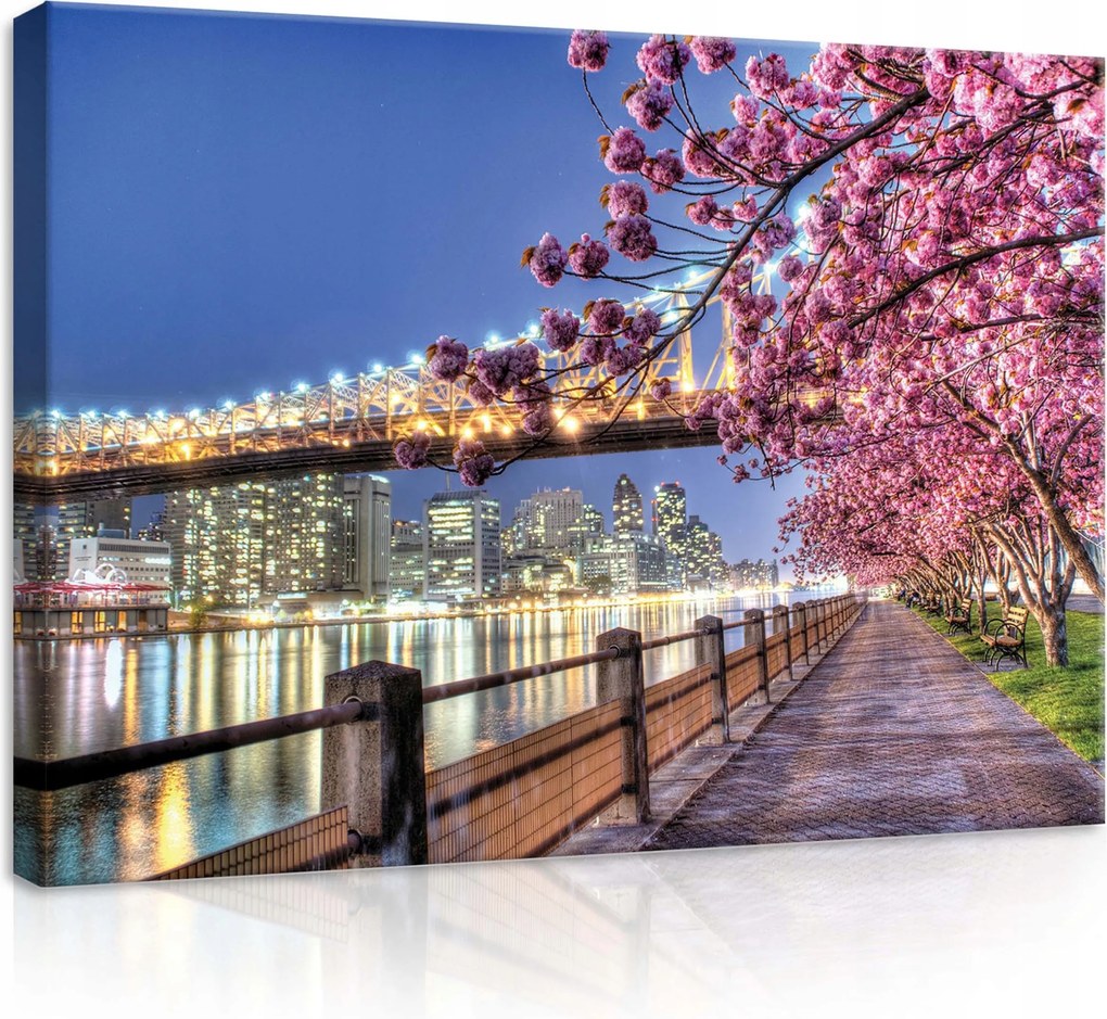 Vászonkép 70x50 Éjszakai városkép híd virágok sakura tükröződés nyugalom tavasz