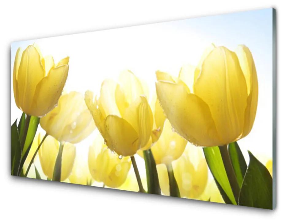 Üvegkép Tulipán virágok Rays 140x70 cm