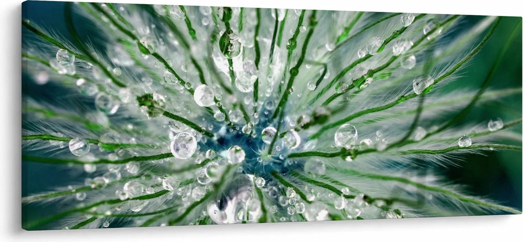 Kép - Makro kép egy virágról (120x50 cm)