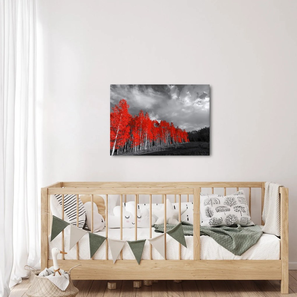 Kép - fák őszi színben (70x50 cm)