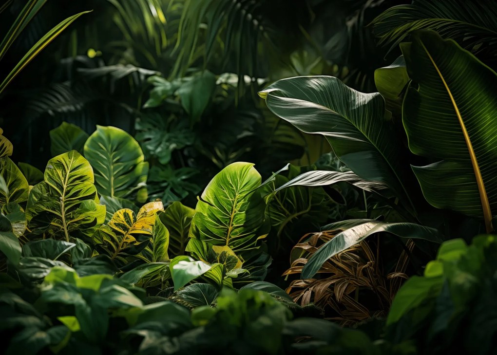 Poszter 70x50cm A természet eldugott zuga