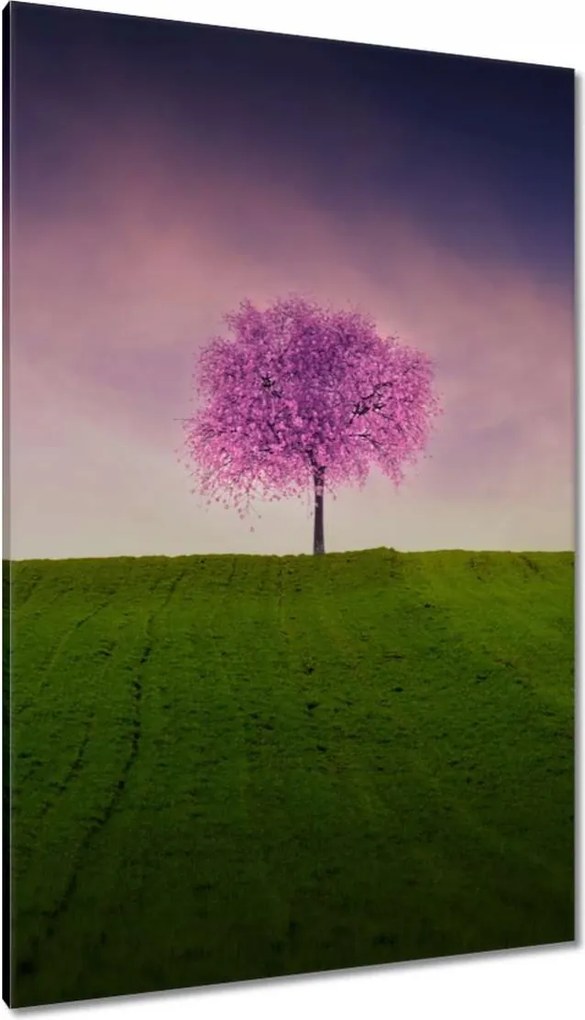 Vászonkép 80x120 Malackafa